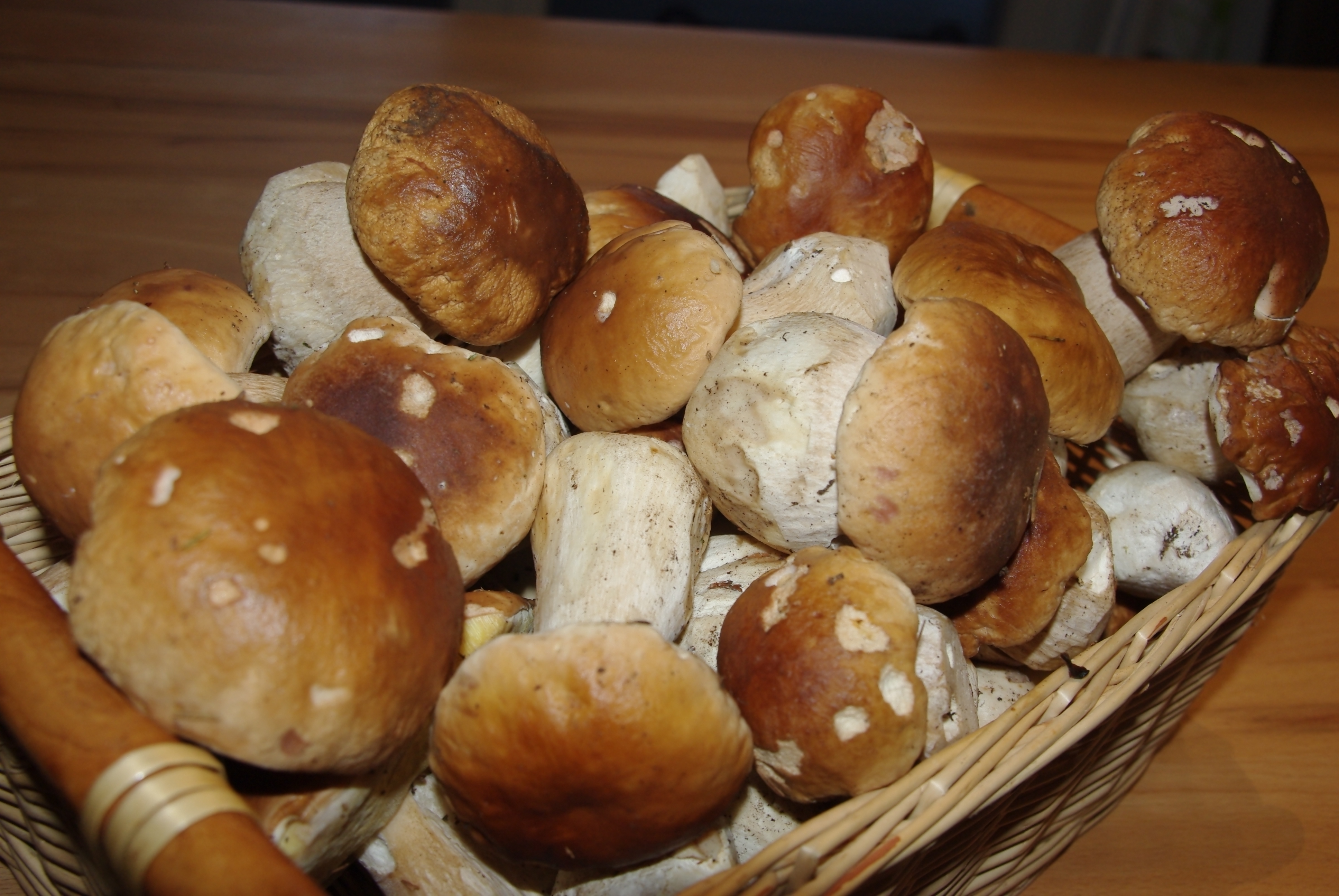 Kndelduett  Rahmschwammerl mit Brezen-Schwarzbrotkndel gefolgt von Zwetschgenkndel auf Fruchtspiegel2