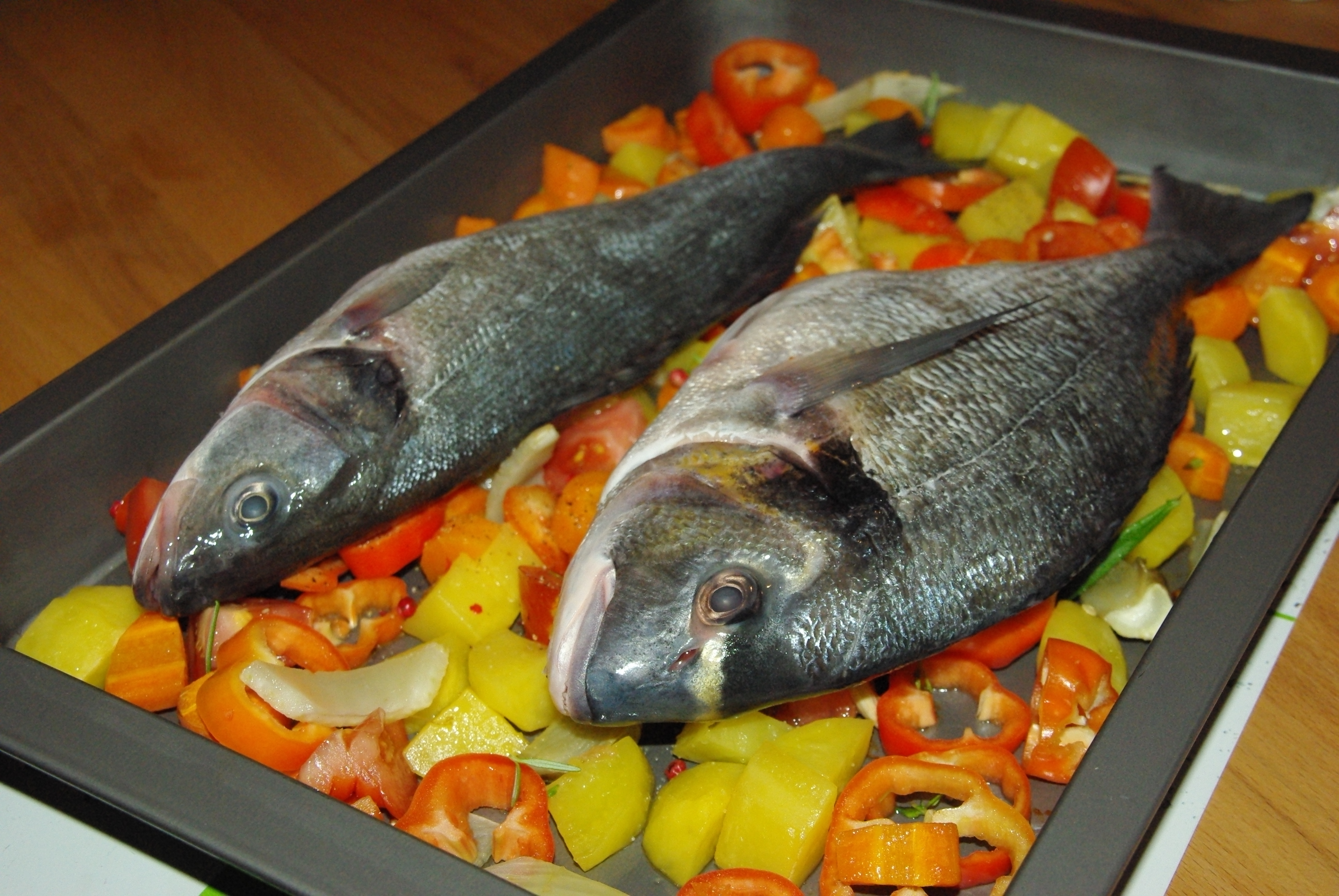 Riesengarnelen auf Rucola gefolgt von einem Duett von Dorade und Wolfsbarsch