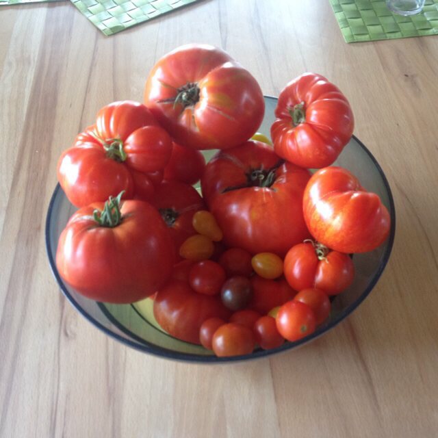 Tomaten-TarteausselbstgezogenenTomaten