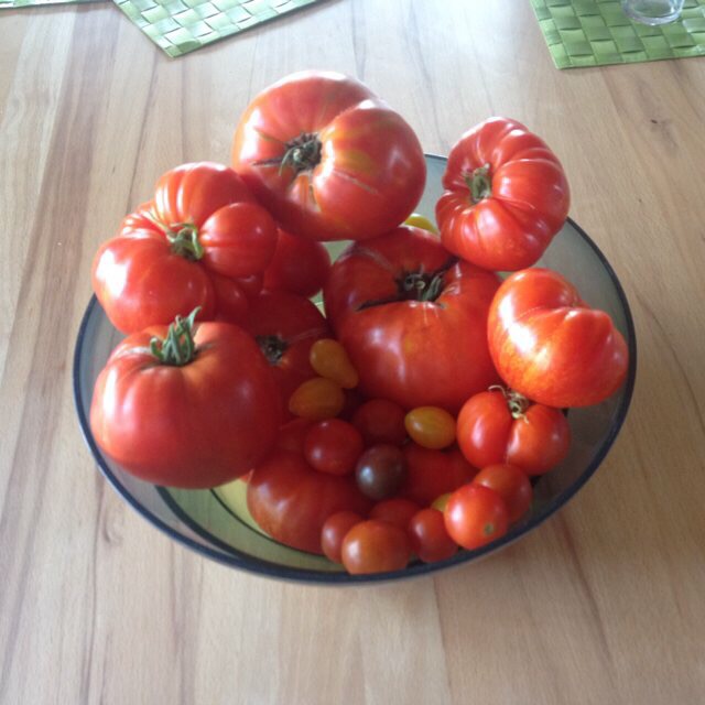 Tomaten-Tarte aus selbst gezogenen Tomaten