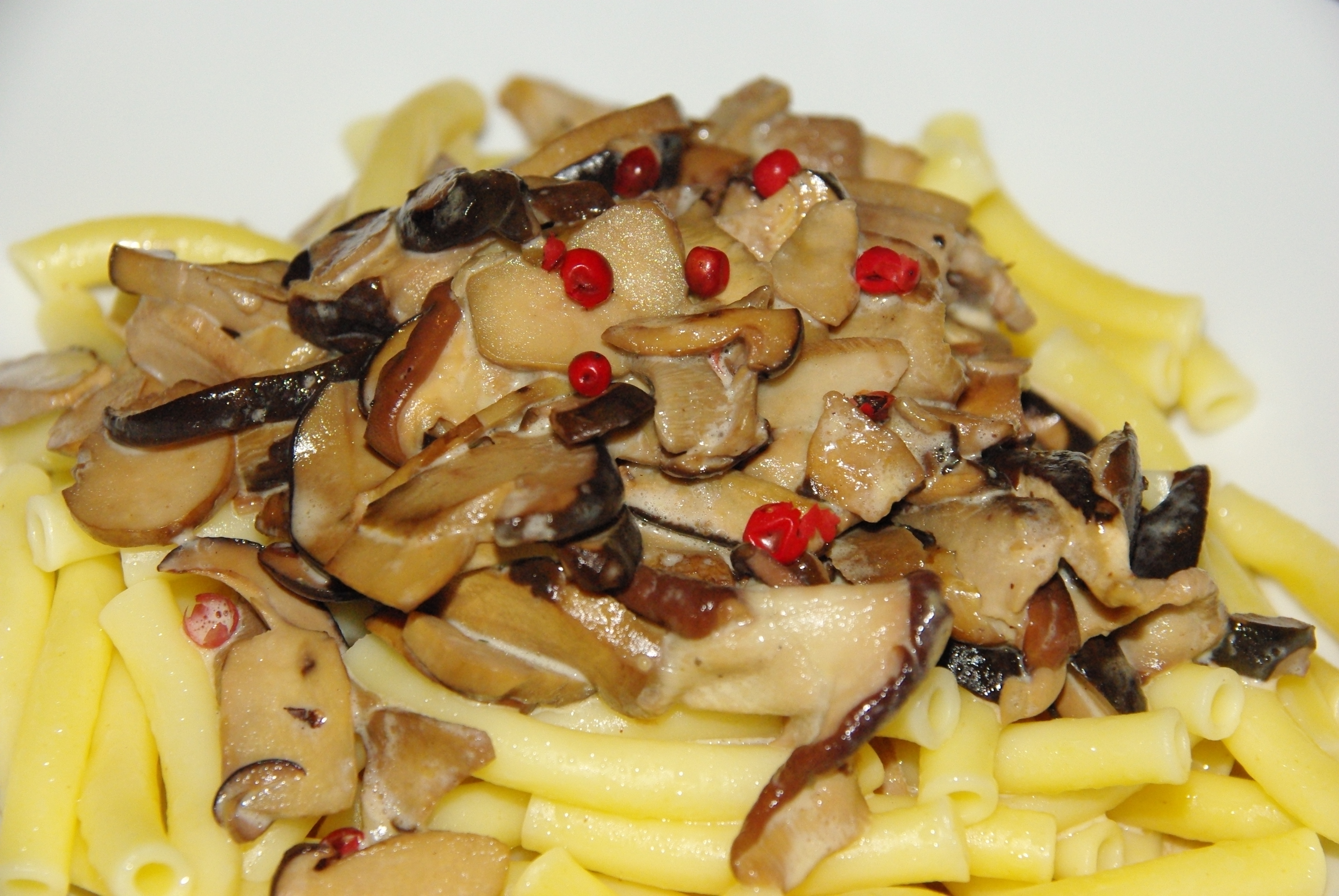 Pasta mit Waldpilzen und weißer Cabernet Sauvignon Pasta mit Waldpilzen und weißer Cabernet Sauvignon