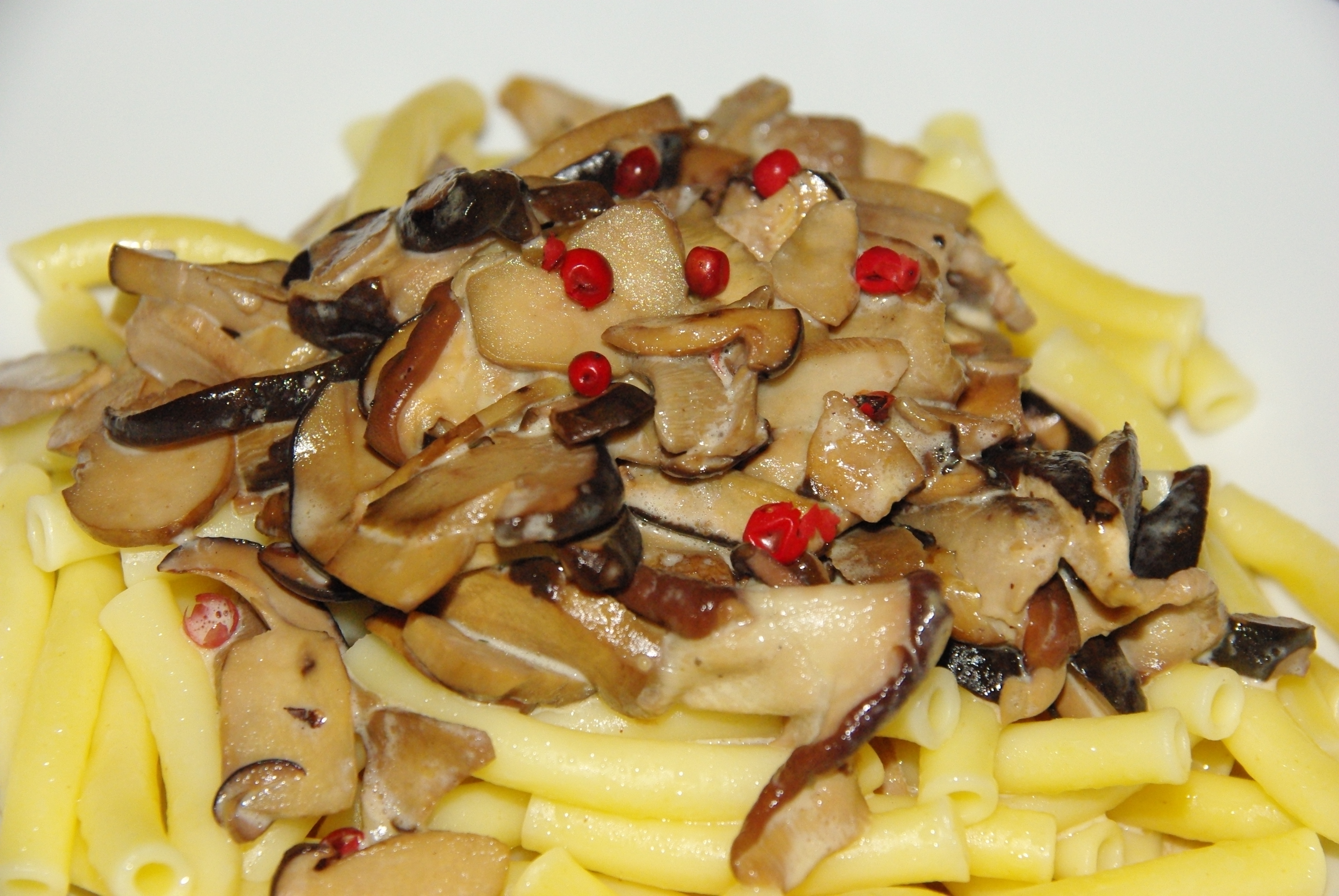 Pasta mit Waldpilzen und weier Cabernet Sauvignon